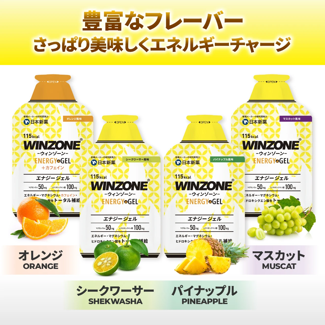 WINZONE（ウィンゾーン）
